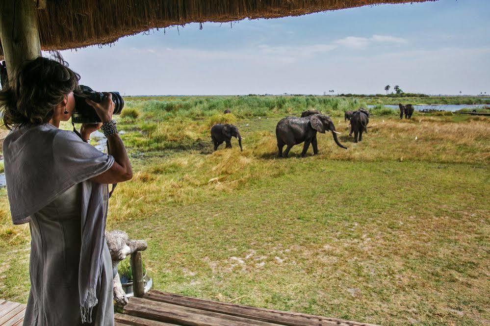 Selinda Camp Hotell Selinda Reserve Exteriör bild