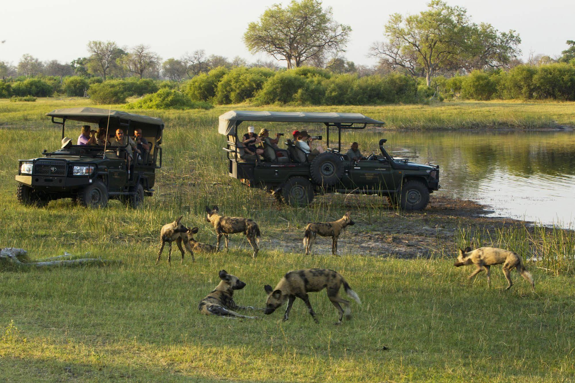 Selinda Camp Hotell Selinda Reserve Exteriör bild
