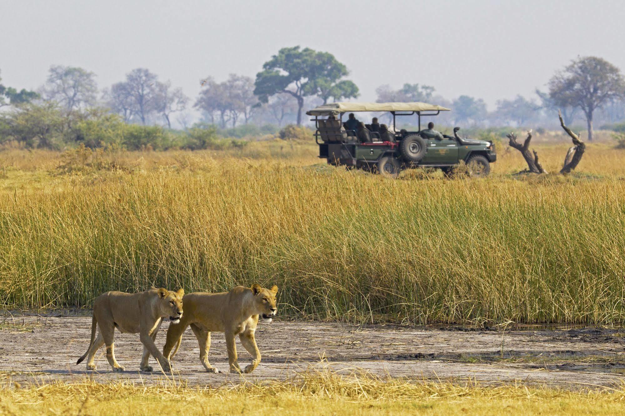 Selinda Camp Hotell Selinda Reserve Exteriör bild