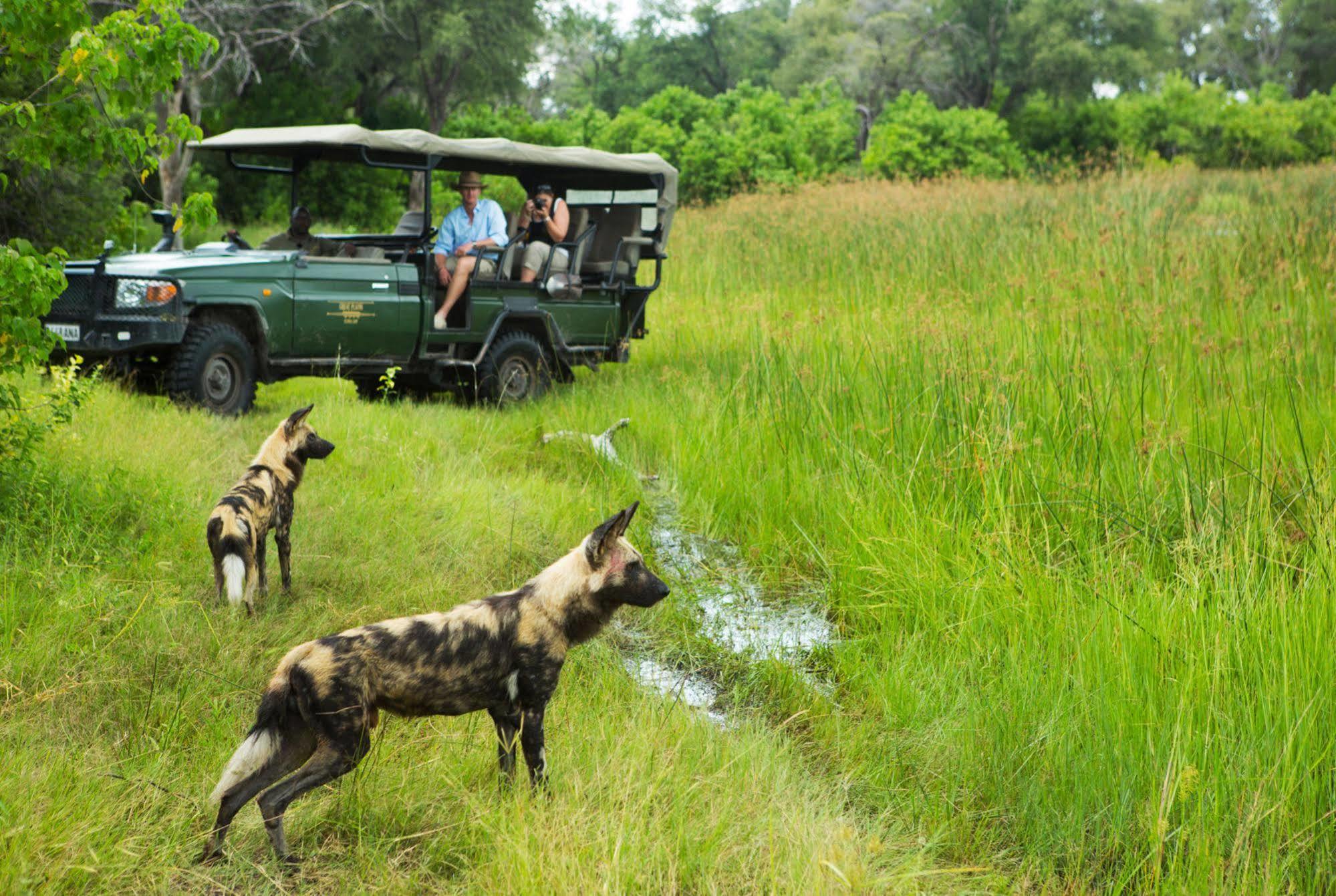 Selinda Camp Hotell Selinda Reserve Exteriör bild